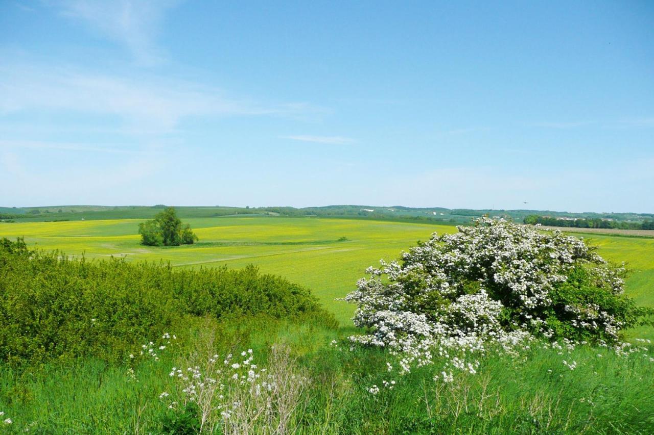 Ferienwohnung Mit Balkon Und Meerblick - Ferienresidenz Zwei Bodden Fewo 1-4 Lietzow Buitenkant foto